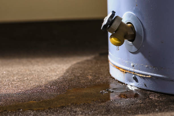  Burlington, WA Water damage restoration Pros