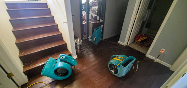 Best Emergency water damage restoration  in Burlington, WA