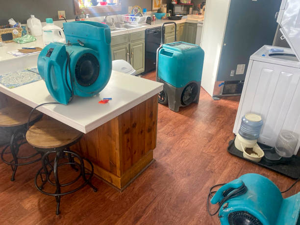 Best Flooded house restoration  in Burlington, WA