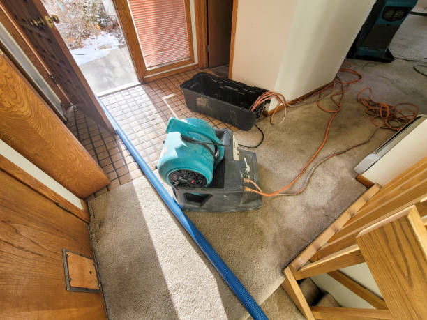 Best Local water damage restoration  in Burlington, WA