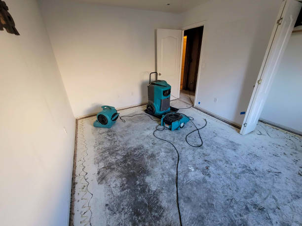 Best Local water damage restoration  in Burlington, WA