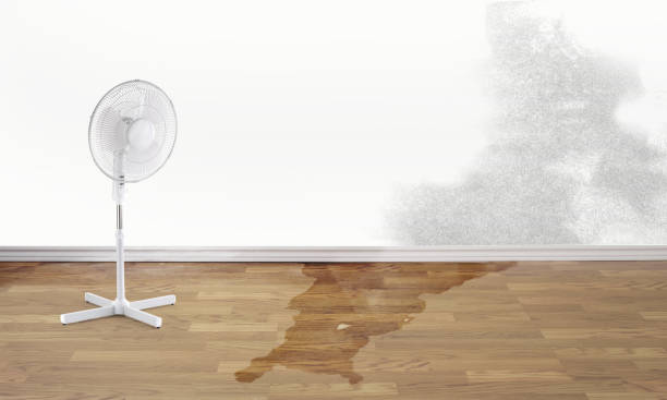 Local water damage restoration in WA