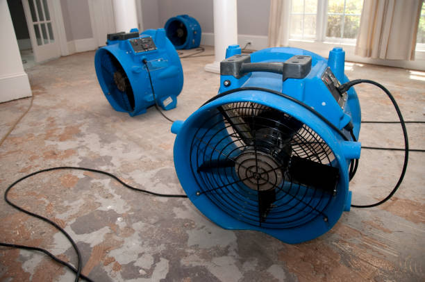 Best Residential water damage restoration  in Burlington, WA