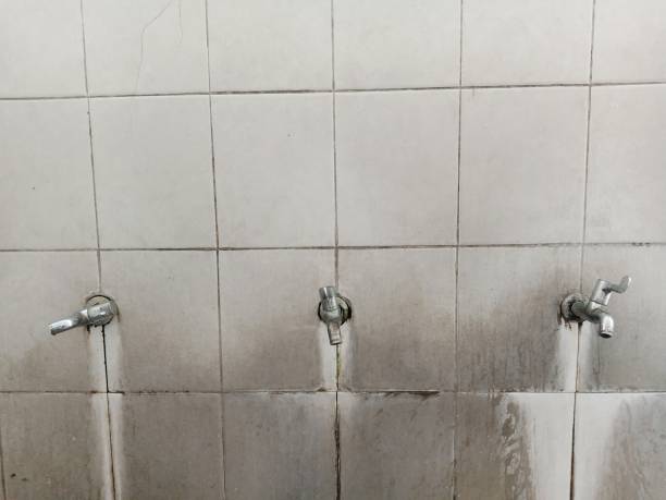 Best Local water damage restoration  in Burlington, WA