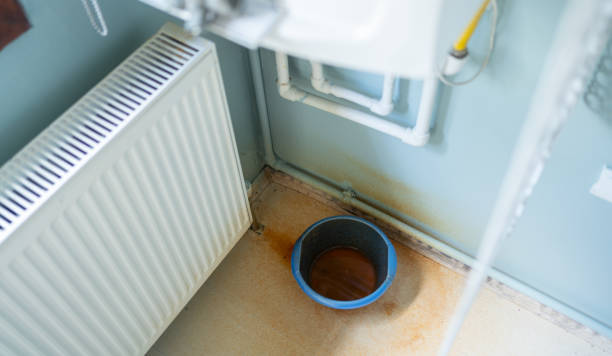 Best Flood restoration services  in Burlington, WA