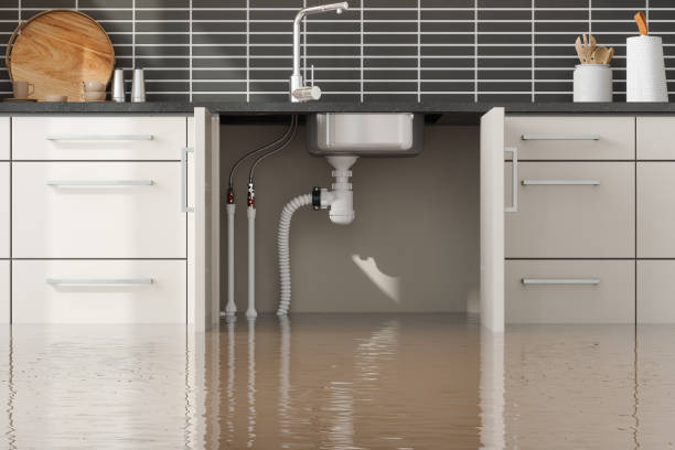 Best Water damage restoration specialists  in Burlington, WA
