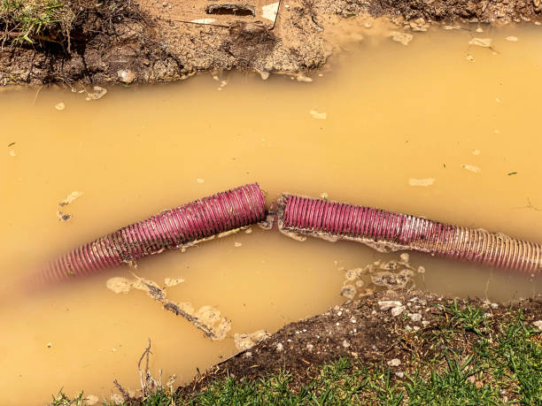 Best Basement water damage restoration  in Burlington, WA